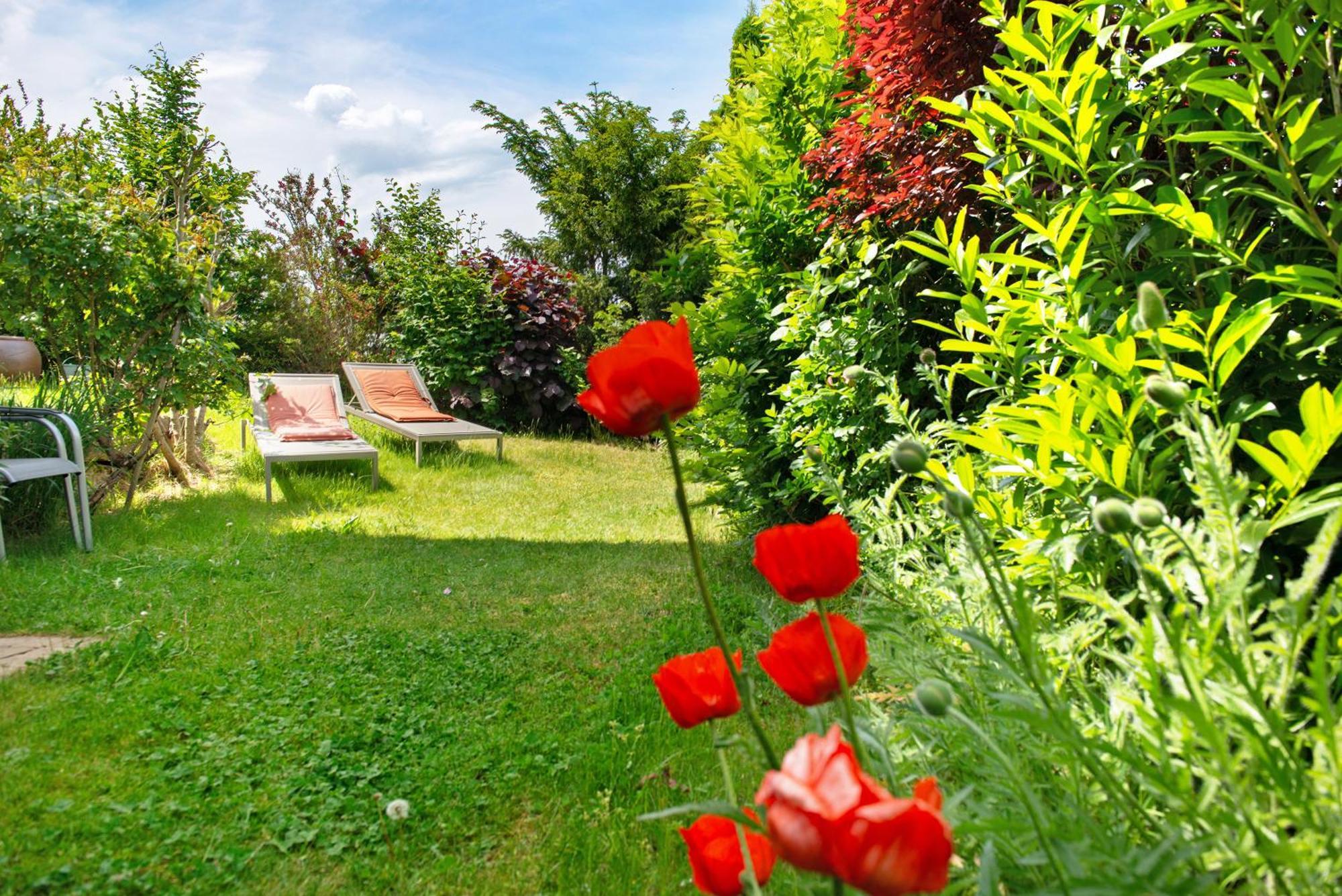 Ferienwohnungen Im Rosengarten Бодман-Лудвигсхафен Екстериор снимка